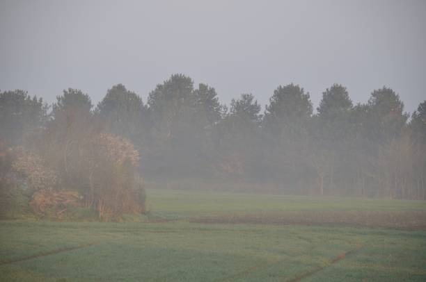 istock the countryside in the mist at Plerin 1157170594