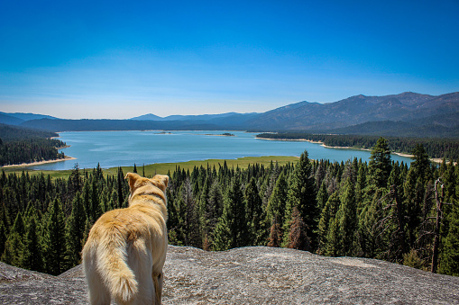A view over Deadwood Reservoir in the Boise National Forest