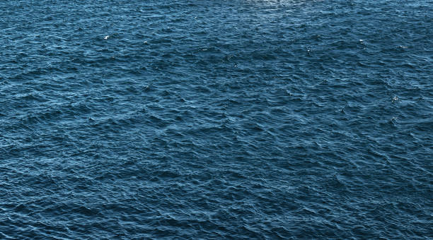 istock Blue rippled water as abstract background. Tranquil surface texture of the sea 1157175543