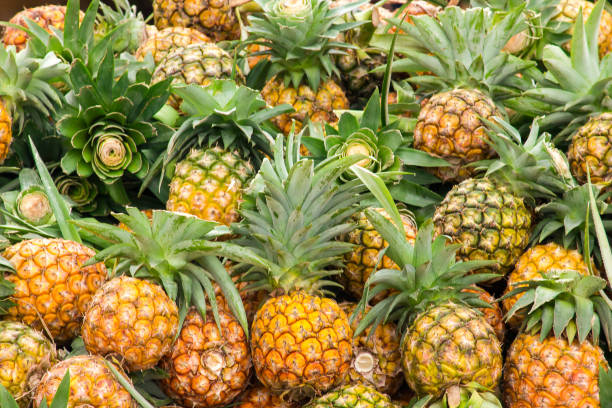 istock Many pineapple piles for sale 1157180576