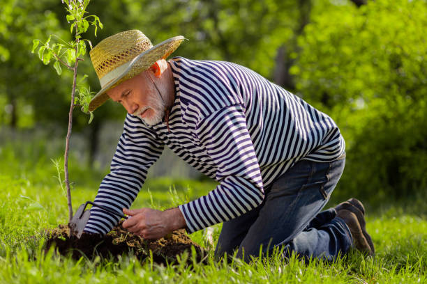 istock Man wearing jeans and shirt standing on knees digging ground 1157180809