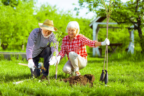 istock Husband helping his wife with digging ground before planting trees 1157180921