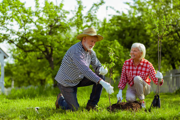 istock Wife smiling while watching her husband planting trees 1157180924