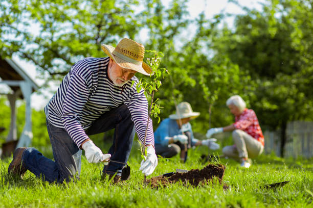 istock Man using gardening equipment while working in the garden 1157180939