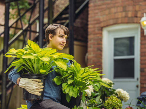 istock Teen Boy Volunttering in garden 1157181725
