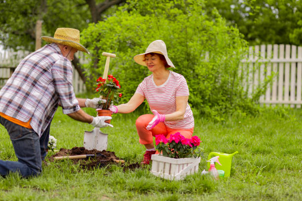 utile marito amorevole che aiuta sua moglie a piantare fiori - gardening couple senior adult ethnic foto e immagini stock