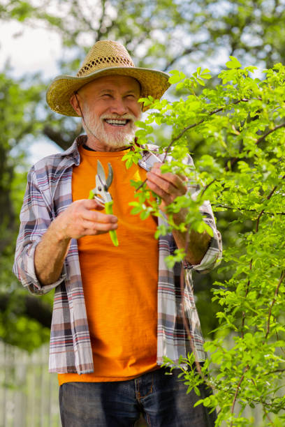 istock Retired man wearing straw hat smiling after cutting branches 1157182717
