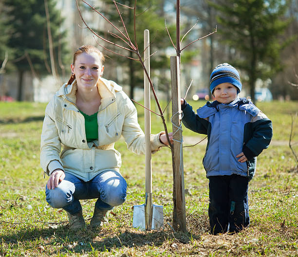 Mother and son planting a tree in a grass field