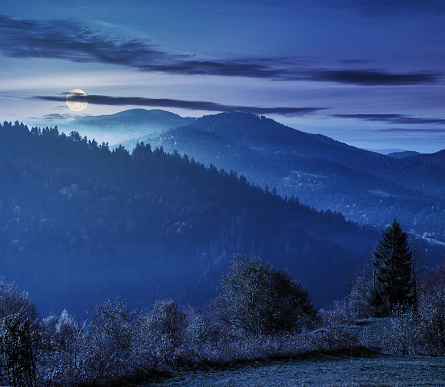 beautiful countryside in mountains at night in full moon light. trees on the edge of a grassy meadow. hills rolling in to the distance. hazy weather.