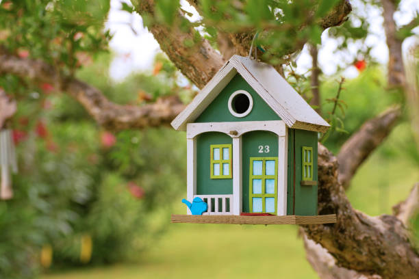 birdhowse di legno - birdhouse animal nest house residential structure foto e immagini stock