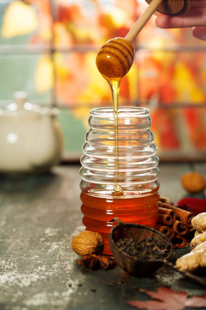 istock Autumn composition with honey. Warm and comfy autumn concept. 1157187779