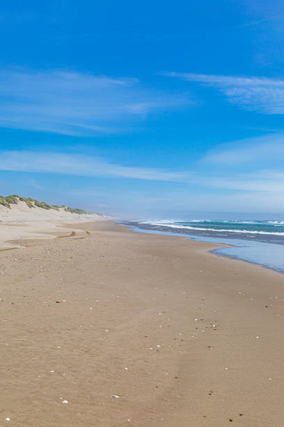 istock Oregon Coastal Landscape 1157190424