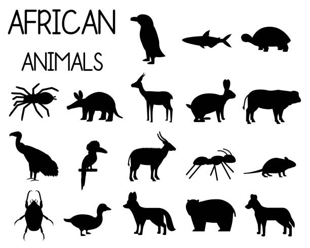 フラットスタイルのアフリカの動物のシルエットセット、アフリカの動物相、ドワーフガチョウ、アフリカのハゲワシ、バッファロー、ガゼルドルカス、ベクトルイラスト - aardvark点のイラスト素材／クリップアート素材／マンガ素材／アイコン素材