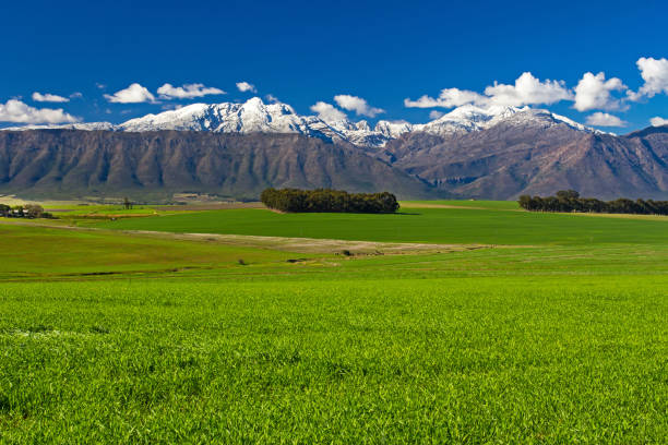 Snow on Matroosberg mountains with green wheat field near Ceres, South Africa