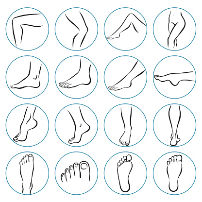 Linear icons of human legs. Vector illustrations line art pack of female feet in various gestures.