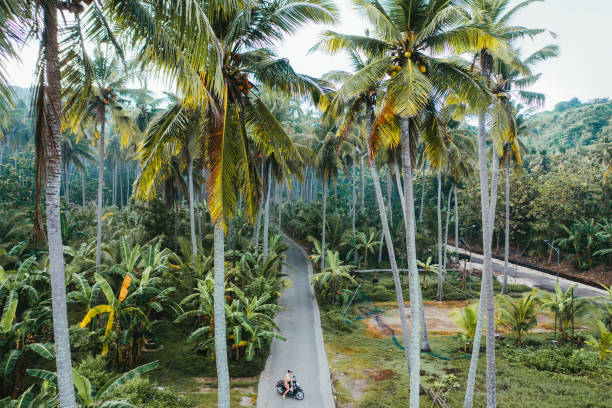 vue aérienne scénique de femme conduisant le scooter dans les jungles sur nusa penida - nusa lembongan photos photos et images de collection