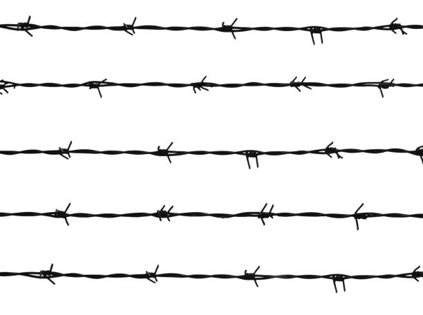 istock background of five lines of barbed wire 1157203324