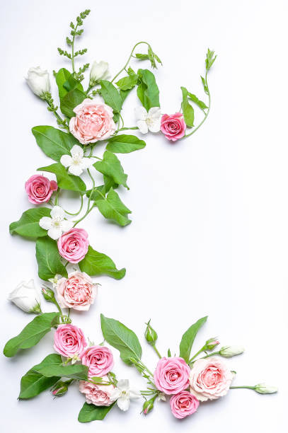 istock Floristic vertical wedding composition: bindweed leaves, flowers and rosebuds, white jasmine flowers on a white background. Top view 1157205096