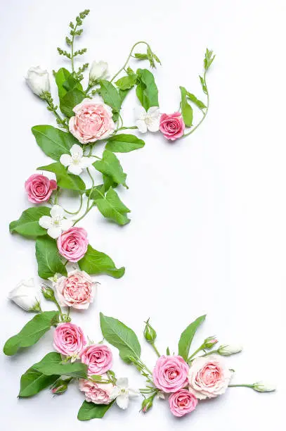 Floristic vertical wedding composition: bindweed leaves, flowers and rosebuds, white jasmine flowers on a white background. Top view