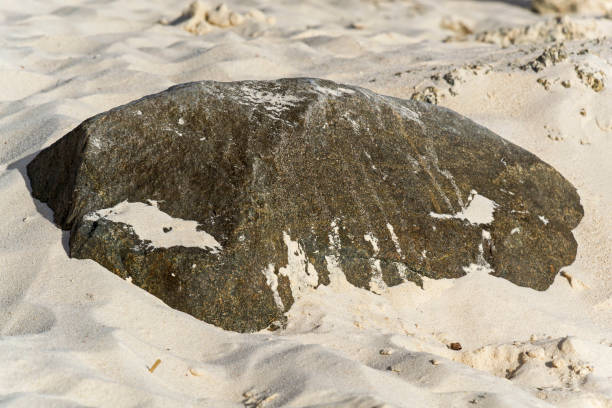istock Stone detail on the white sand 1157206183