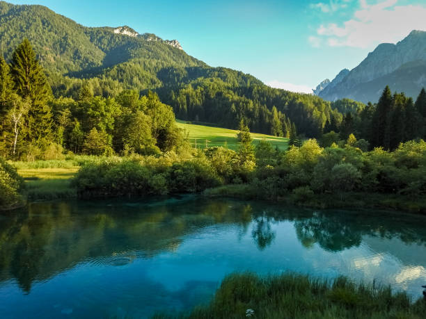 zelenci natural reserve near kranjska gora, slovenia. beautiful lake with its characteristic blue green color. - julian alps mountain lake reflection imagens e fotografias de stock