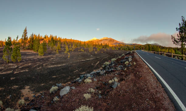 istock Mountain Teide, orange sunset time. Road runs into bright blue sky. Wide panoramic view. Teide National Park, Tenerife, Canary Islands, Spain. 1157208830