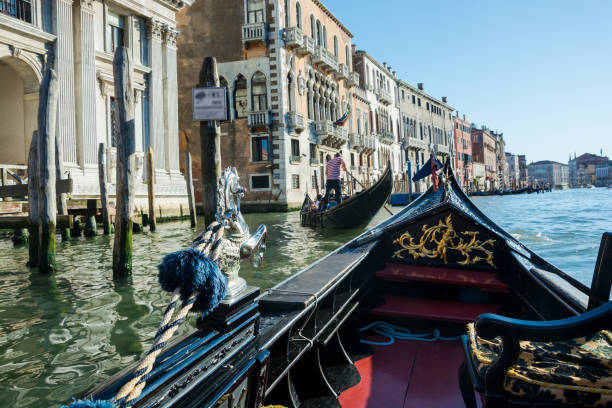 A sunny view of a Grand Canal, old houses, motorboats in Venice, Italy. View of the Grand Canal from a gondola in Venice, Italy. The front part  of the gondola on the background of the views of Venice gondola traditional boat stock pictures, royalty-free photos & images