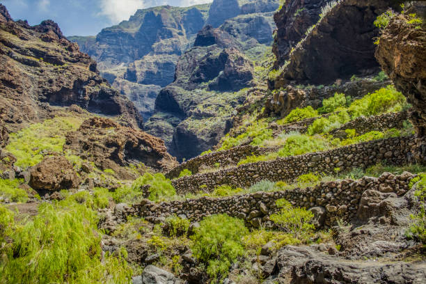 rocks in the masca gorge, tenerife, showing solidified volcanic lava flow layers and arch formation. the ravine or barranco leads down to the ocean from a 900m altitude - solidified imagens e fotografias de stock