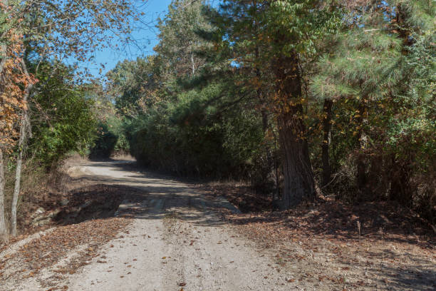 Wooden bridge on rural road
