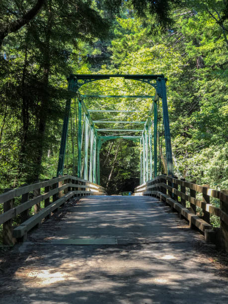 istock Gualala River Bridge: Old truss bridge in Gualala California 1157213998