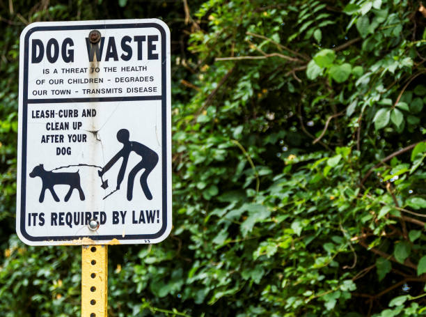 istock Clean up your dog poop sign 1157215644