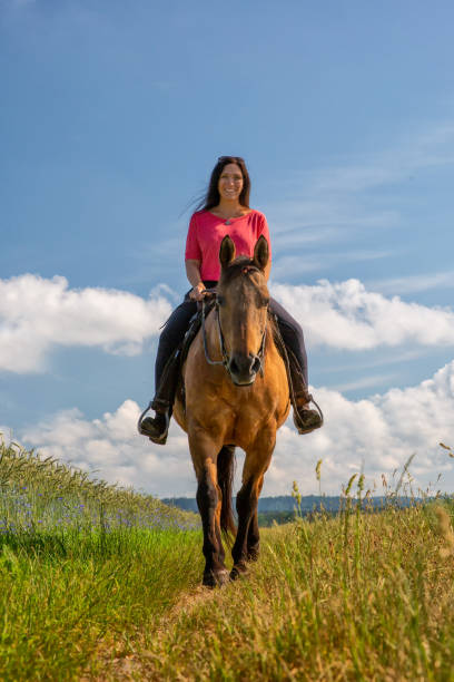 istock Ms. Reitet on the dirt road 1157215767