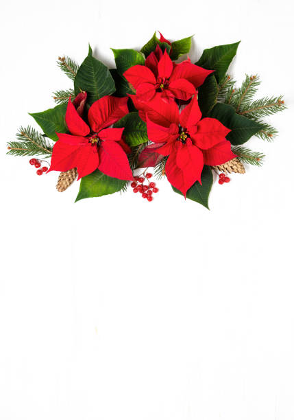 istock Christmas card or leaflet template with botany natural decor 1157216626