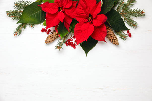 istock Christmas card or leaflet template with botany natural decor 1157216636