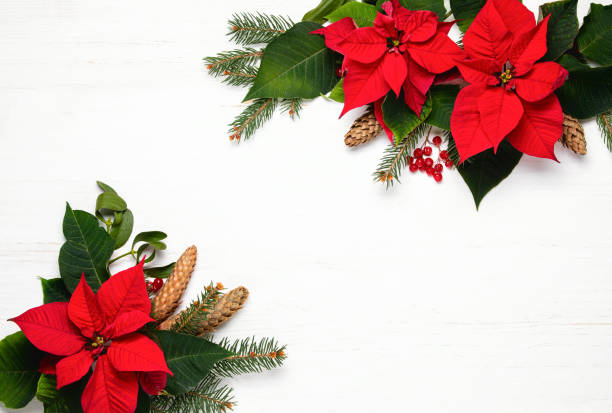 istock Christmas card or leaflet template with botany natural decor 1157216639