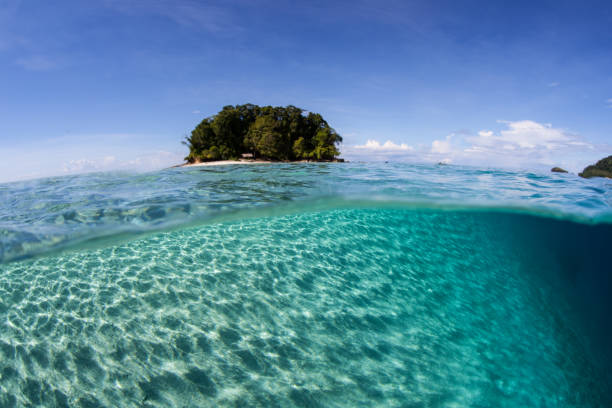 istock Remote Island and Shallow Sand Seafloor 1157217755