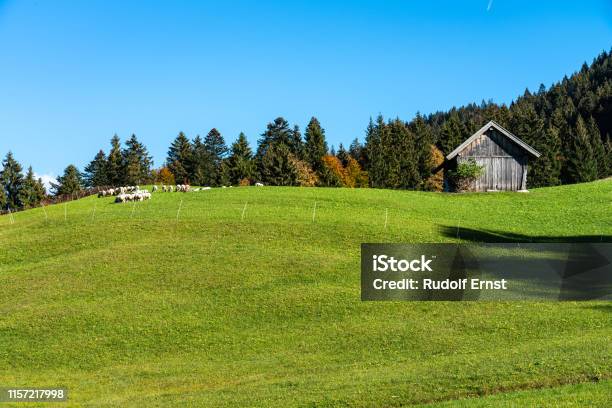 Landscape Near Garmisch Partenkirchen In Bavaria Germany Stock Photo - Download Image Now
