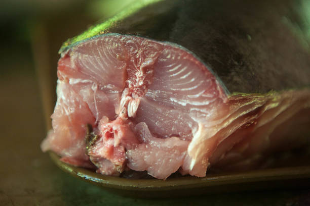 istock A whole fish cut up in a kitchen 1157222156