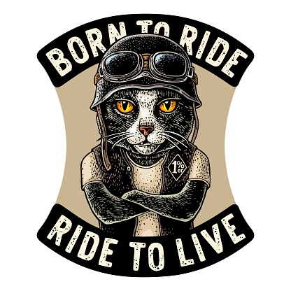 Cat with crossed paws dressed in the helmet and glasses. Vector hand drawn color vintage engraving. For poster and t-shirt biker club. BORN TO RIDE lettering.