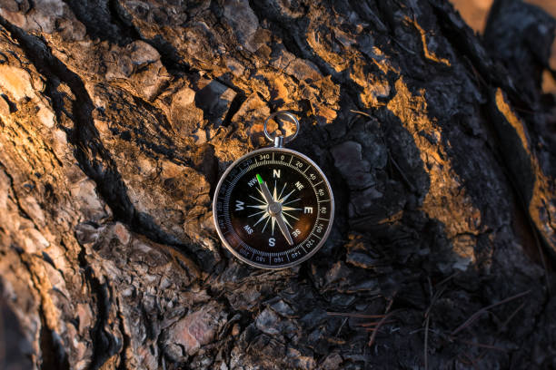 istock A magnetic compass in a autumn tree against. 1157229887