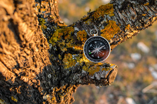 istock A magnetic compass in a autumn tree against. 1157229922