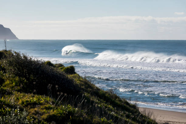 istock Wainui Beach, Gisborne, New Zealand 1157230345