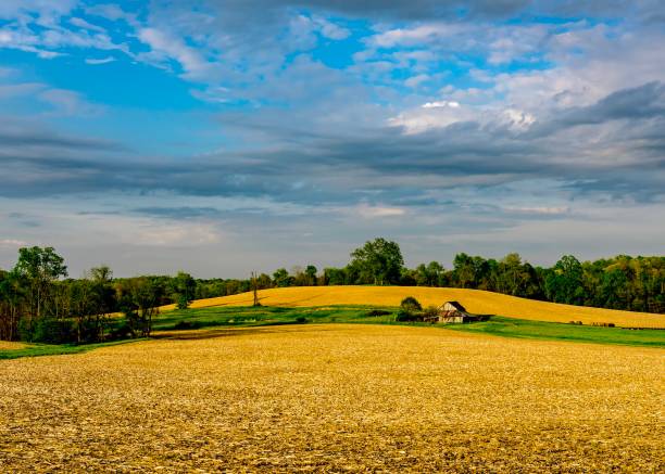 collines de se ohio - batiment agricole photos et images de collection