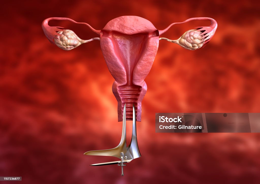 Pap smear is a gynecological examination of cervical cytology performed as a prevention of cervical cancer. 3D rendering Pap Smear Stock Photo