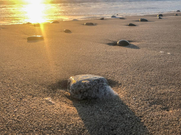 istock Rocks line the beach in Venice, CA 1157237791