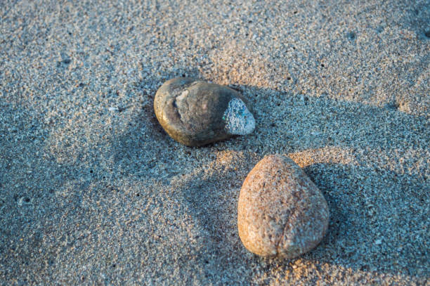 istock Rocks line the beach in Venice, CA 1157237802