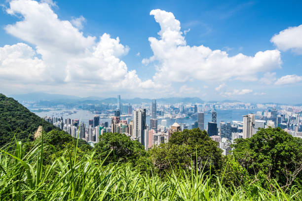 istock Hong Kong City Scenery 1157245935