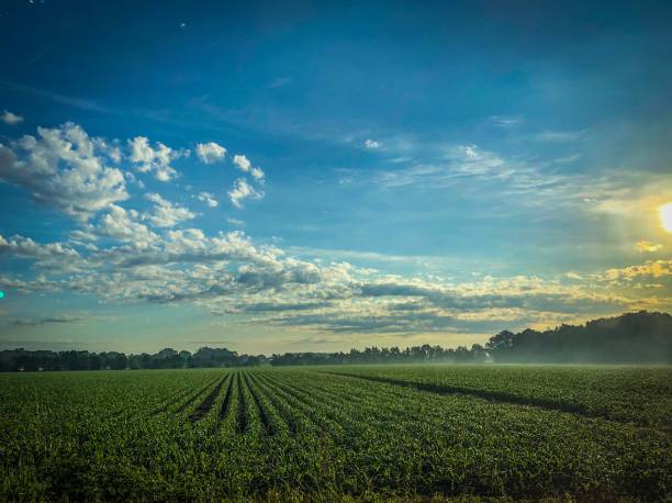 istock Wonderful landscape with a rising sun in Germany. 1157249650