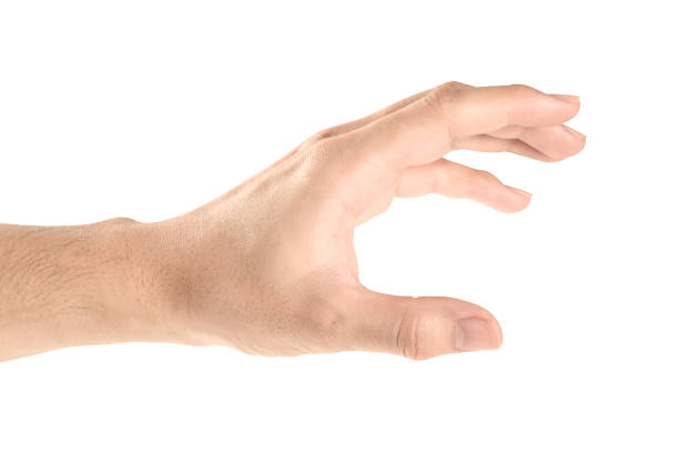 istock Hand open and ready to help or receive. Gesture isolated on white background with clipping path. 1157253462