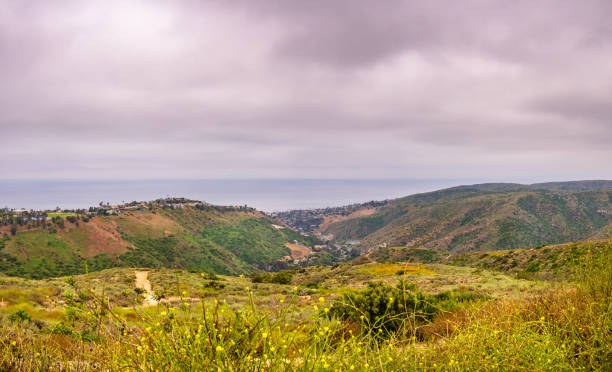 istock Laguna Beach Top of the World 1157255699